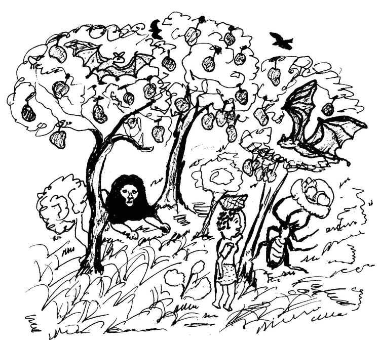 Kali Fu Kunuŋ Couverture