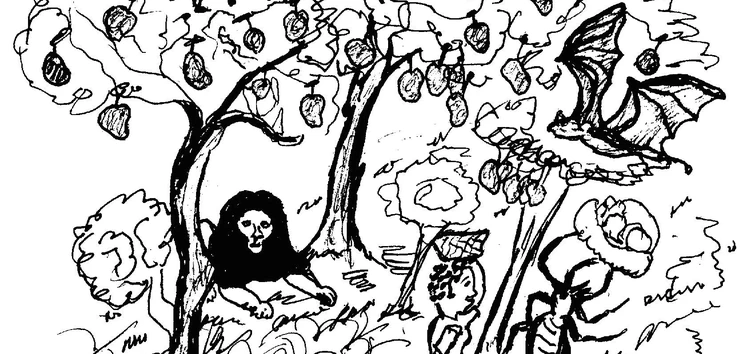 Kali Fu Kunun Couverture Flash